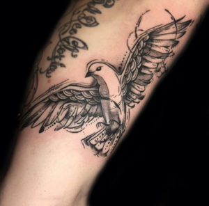 alex-santaloci-bird-tattoo-scetch-charlotte-nc